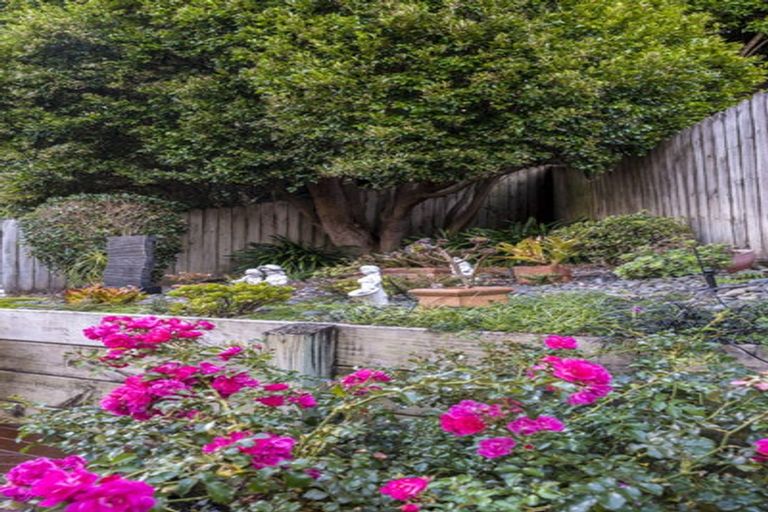 Photo of property in 17 Virginia Street, Henderson, Auckland, 0612