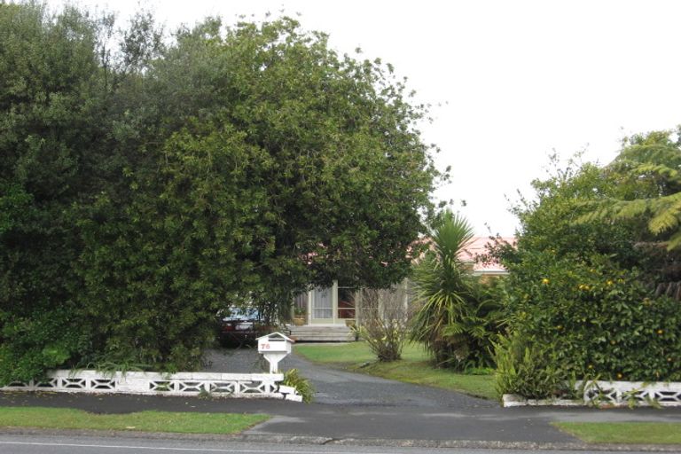 Photo of property in 76 Fifth Avenue, Enderley, Hamilton, 3214