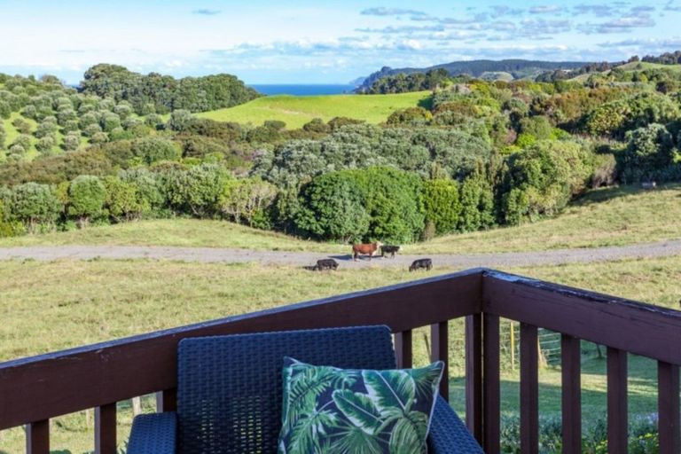 Photo of property in 435 Onemana Drive, Onemana, Whangamata, 3691