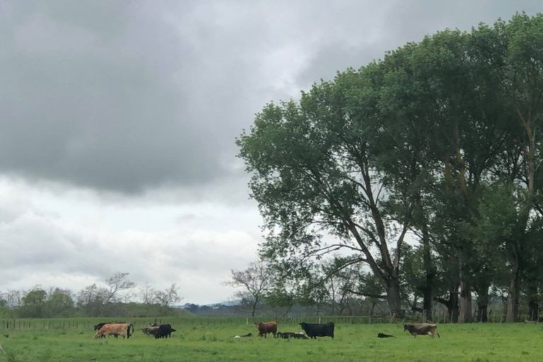 Photo of property in 75 Paetai Road, Ohinewai, Te Kauwhata, 3771