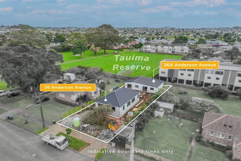 Photo of property in 36 Anderson Avenue, Point England, Auckland, 1072