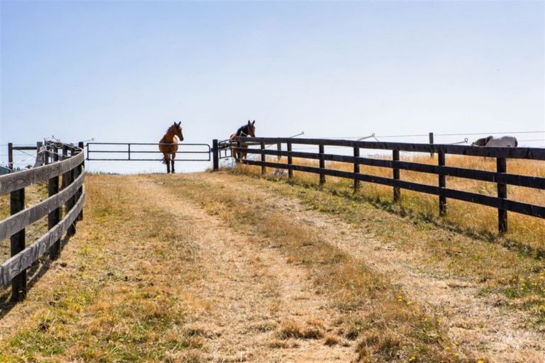 Photo of property in 200a Forestry Road, Ashley, Rangiora, 7477