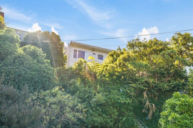 Photo of property in 23a Marewa Road, Hataitai, Wellington, 6021