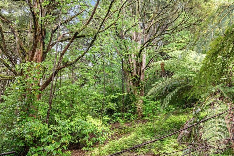 Photo of property in 162 Upokorau Road, Kaeo, 0478