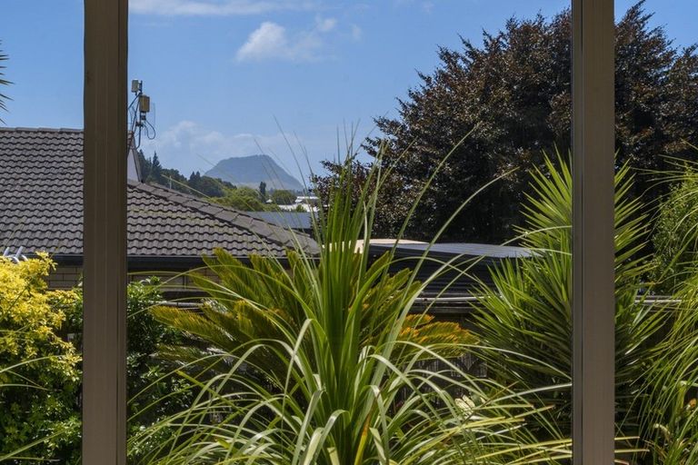 Photo of property in 113 Laurence Street North, Gate Pa, Tauranga, 3112