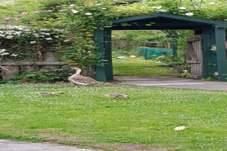 Photo of property in 37 Gillies Crescent, Waimarama, Havelock North, 4294