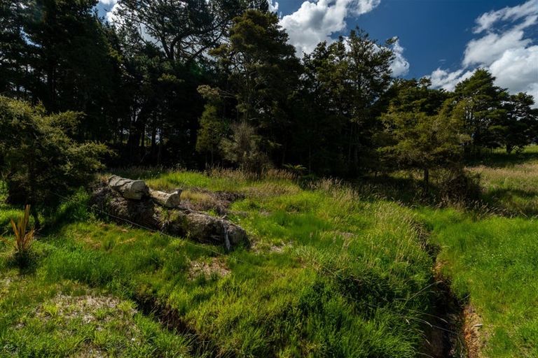 Photo of property in 115 Ruapekapeka Road, Towai, Hikurangi, 0182