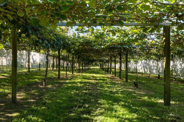 Photo of property in 585d Mclaren Falls Road, Omanawa, Tauranga, 3171