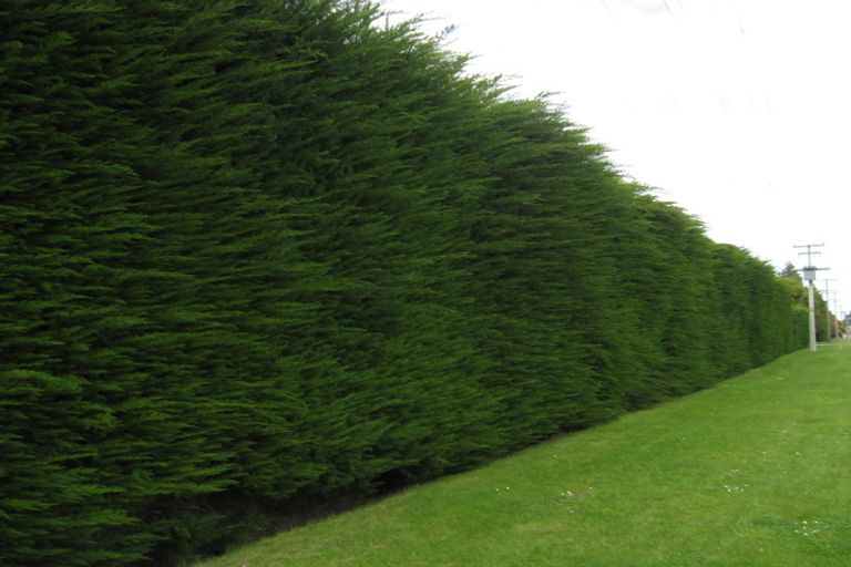 Photo of property in 75 Douglas Road, Amberley, 7410