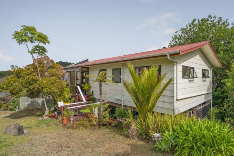Photo of property in 23 Punga Place, Whitianga, 3510