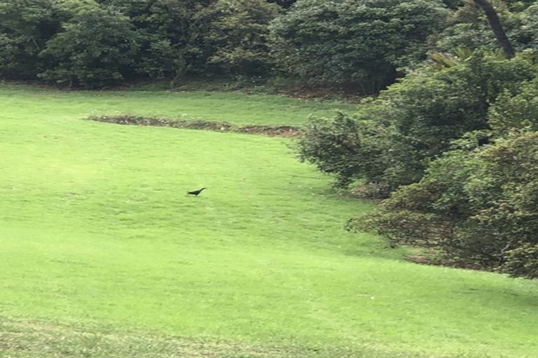 Photo of property in 152n Parker Road, Oratia, Auckland, 0604