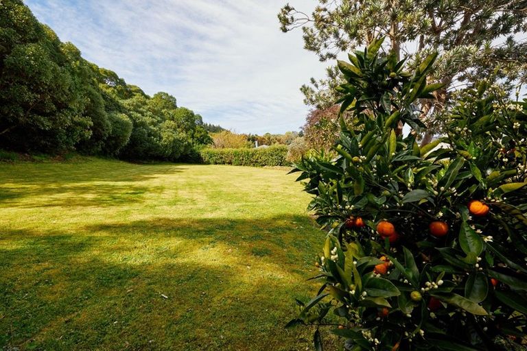 Photo of property in 40 Kotare Place, South Bay, Kaikoura, 7300
