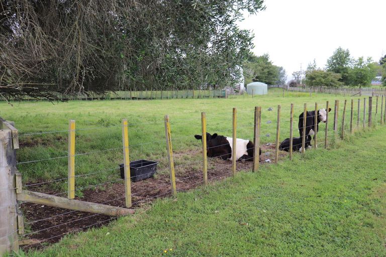 Photo of property in 511b Ngaruawahia Road, Te Kowhai, Hamilton, 3288