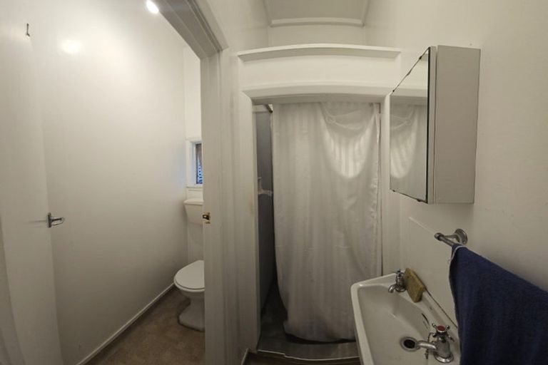 Photo of property in 20 Washington Avenue, Brooklyn, Wellington, 6021