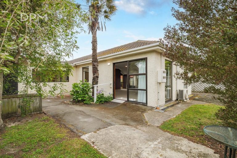 Photo of property in 217a Musselburgh Rise, Andersons Bay, Dunedin, 9013