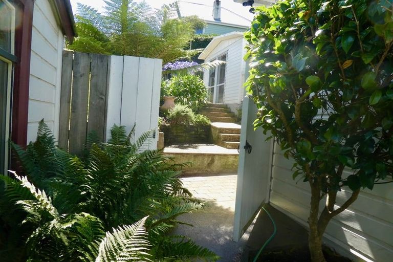 Photo of property in 49 Frame Street, North East Valley, Dunedin, 9010