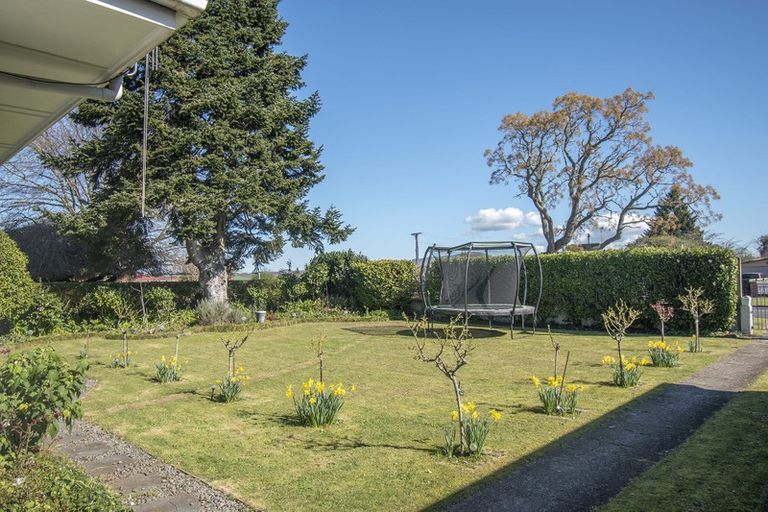 Photo of property in 10 Hampton Terrace, Matamata, 3400