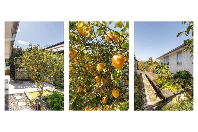 Photo of property in 84d Margaret Drive, Omokoroa, 3114