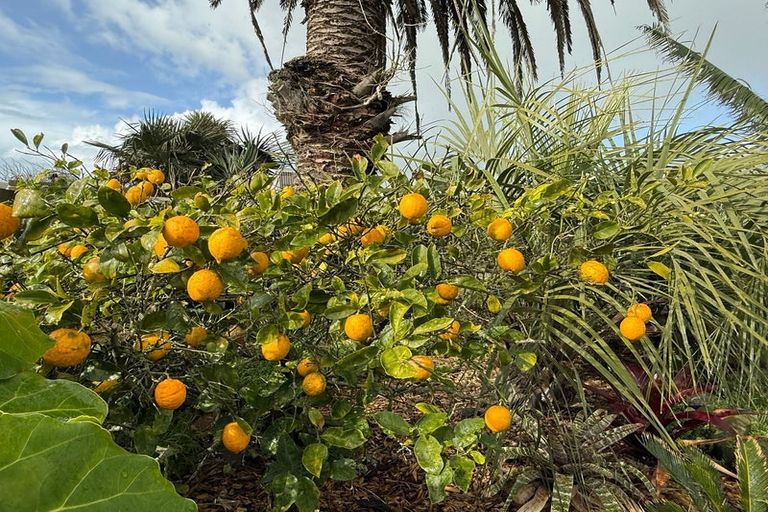 Photo of property in 44 Hume Street, Waitara, 4320