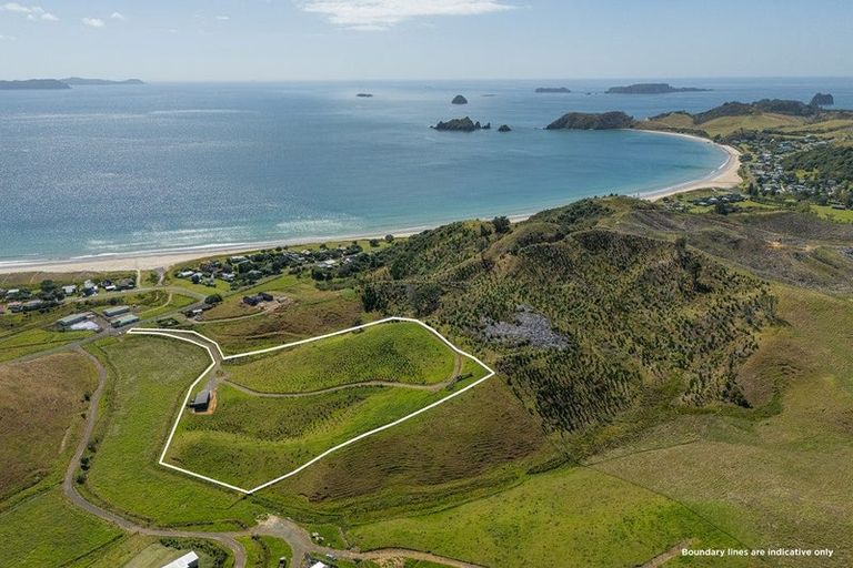 Photo of property in 838 Black Jack Road, Opito Bay, Whitianga, 3592