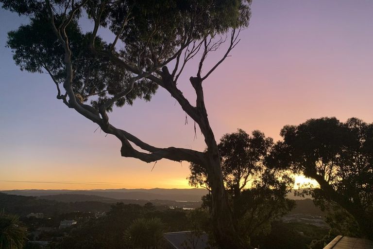 Photo of property in 2 Hoggard Street, Vogeltown, Wellington, 6021