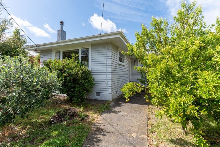 Photo of property in 87 Bentley Street, Masterton, 5810