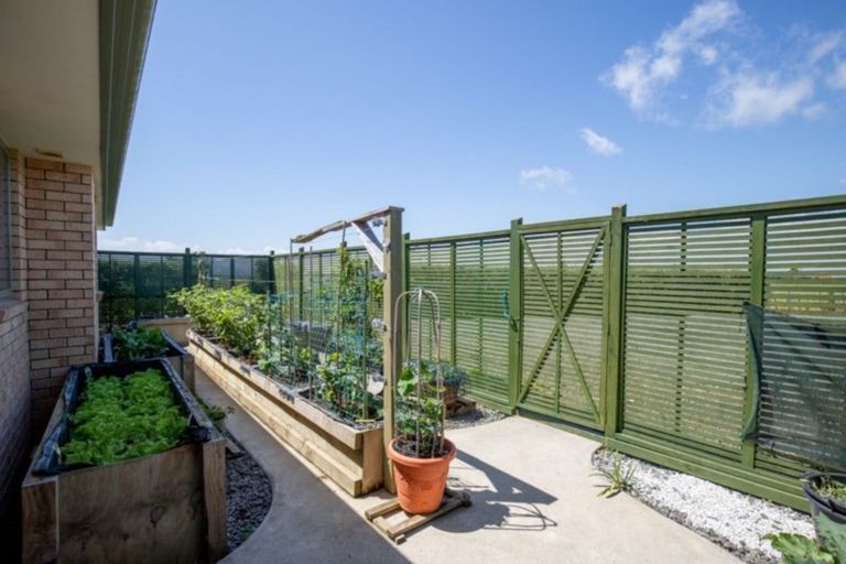 Photo of property in 78 Orongo Road, Orongo, Thames, 3574