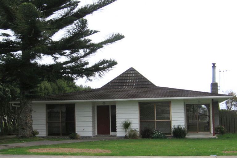 Photo of property in 6 Raleigh Street, Levin, 5510