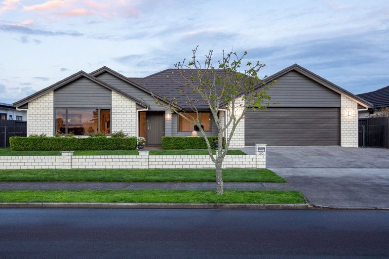 Photo of property in 50 Roy Hilton Drive, Flagstaff, Hamilton, 3210