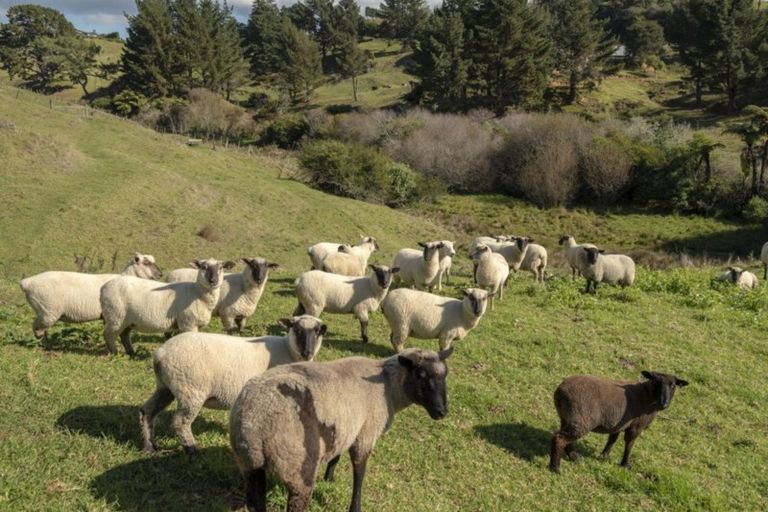 Photo of property in 16 Turntable Hill Road, Whakamarama, 3181