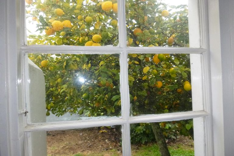 Photo of property in 98 Talbot Street, Geraldine, 7930