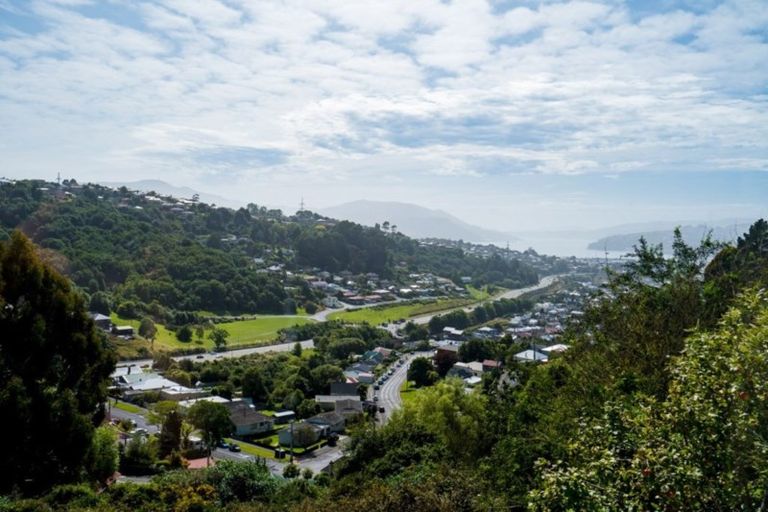 Photo of property in 46 Waimea Avenue, Calton Hill, Dunedin, 9012