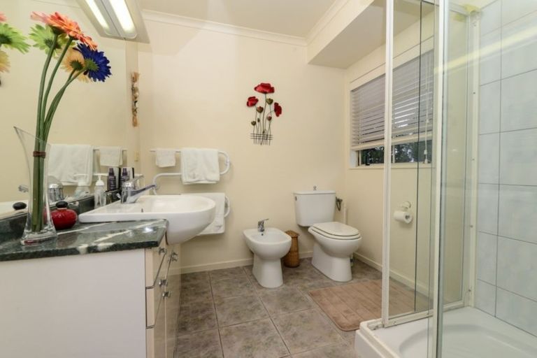 Photo of property in 19 Stella Place, Chartwell, Hamilton, 3210