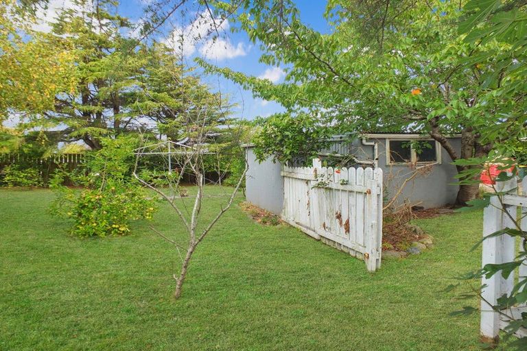 Photo of property in 17 Whittaker Street, Foxton, 4814