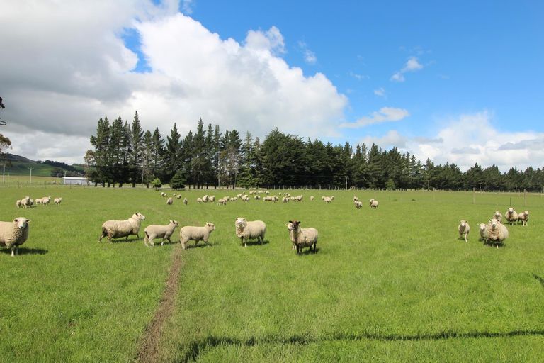 Photo of property in 5 Lanark Street, Lumsden, 9794