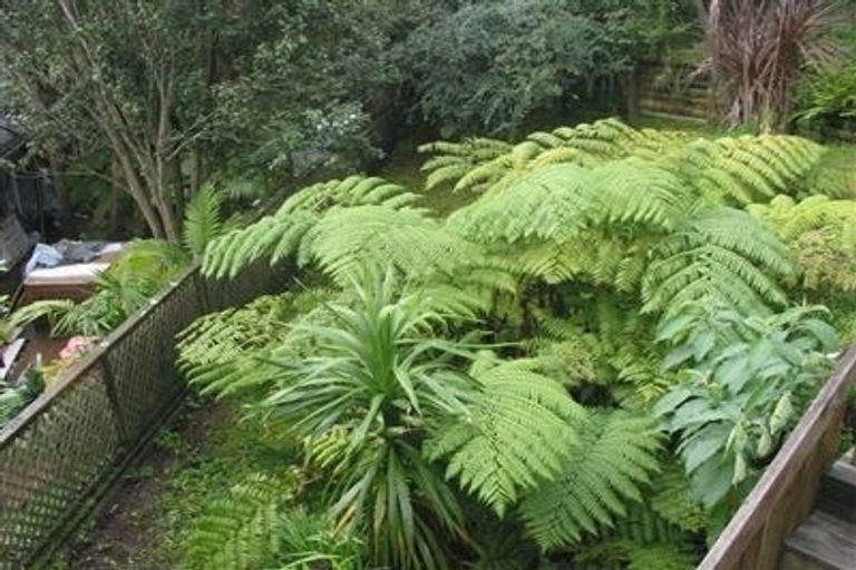 Photo of property in 175 Browns Bay Road, Browns Bay, Auckland, 0630