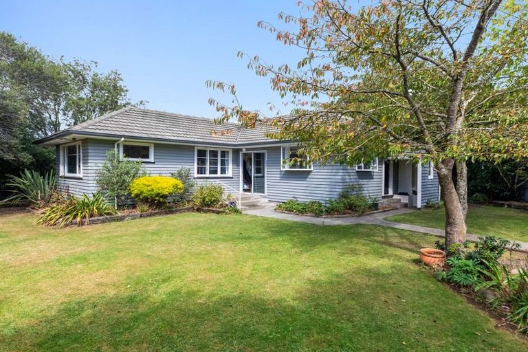 Photo of property in 11 Vogel Street, Sheffield, 7500