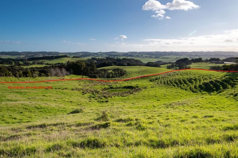 Photo of property in 485 Kiwitahi Road, Helensville, 0875