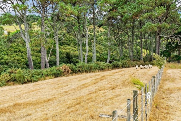 Photo of property in 58 Sheffield Road, Helensville, 0875