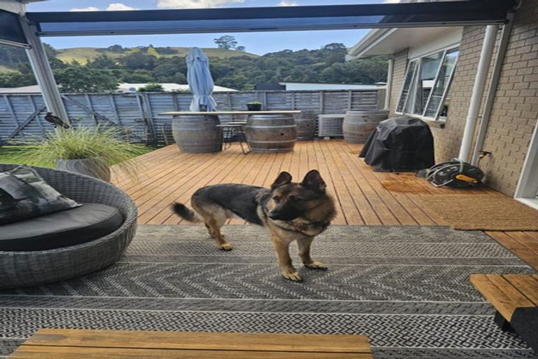 Photo of property in 340 Cook Drive, Whitianga, 3510