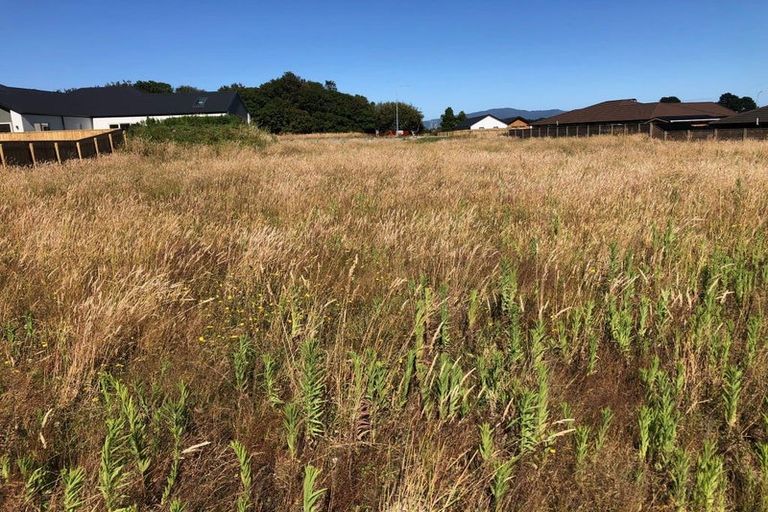 Photo of property in 157 Karuhiruhi Street, Waikanae, 5036