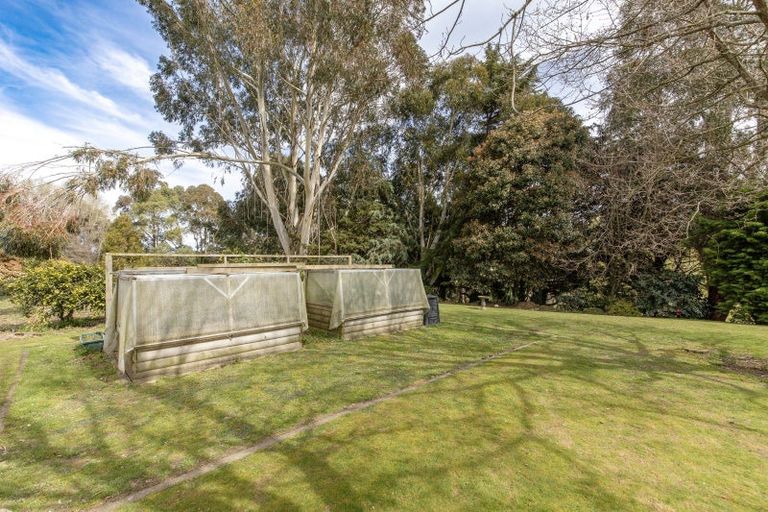 Photo of property in 134b Tipapakuku Road, Dannevirke, 4930