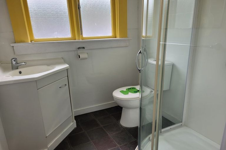 Photo of property in 20 Malvern Street, Woodhaugh, Dunedin, 9010