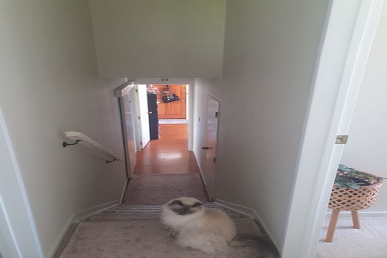 Photo of property in 1/20 Barbados Drive, Unsworth Heights, Auckland, 0632