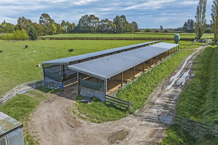 Photo of property in 41 Poplar Lane, Lincoln, Christchurch, 7674