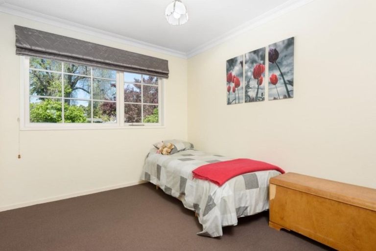 Photo of property in 77 Seventeenth Avenue, Tauranga South, Tauranga, 3112