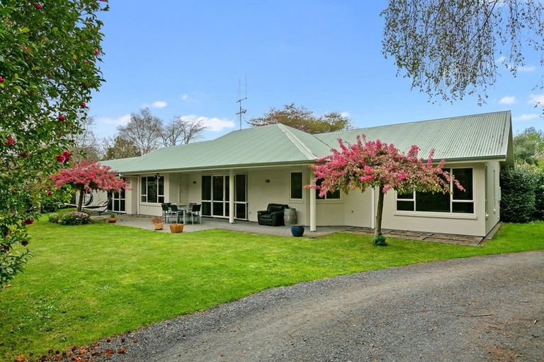 Photo of property in 37 Cowley Drive, Leamington, Cambridge, 3432