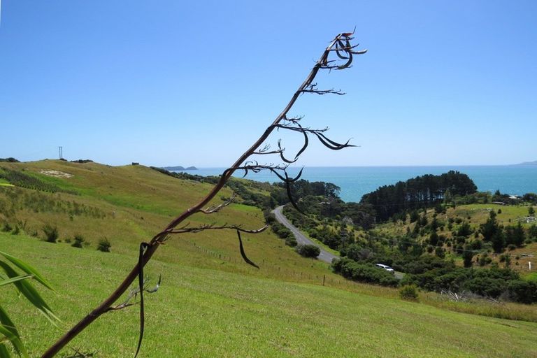 Photo of property in 1594 Colville Road, Amodeo Bay, Coromandel, 3584