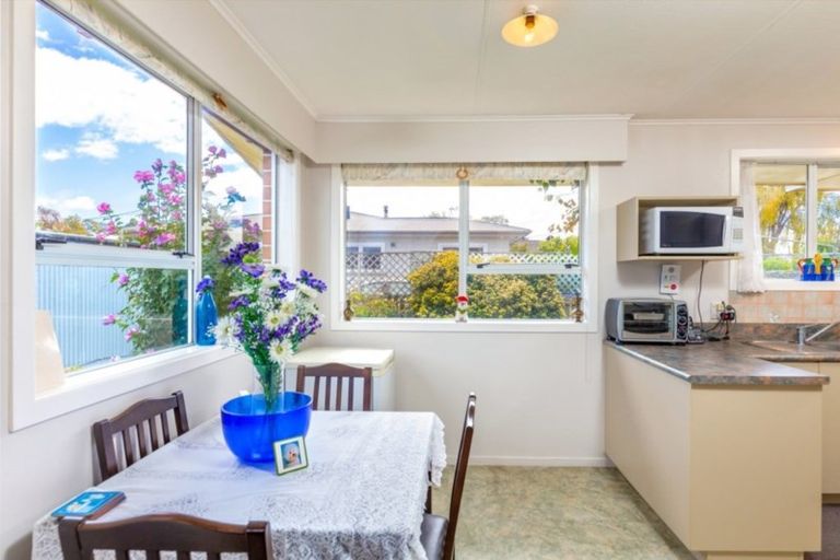 Photo of property in 17a Hale Street, Blenheim, 7201