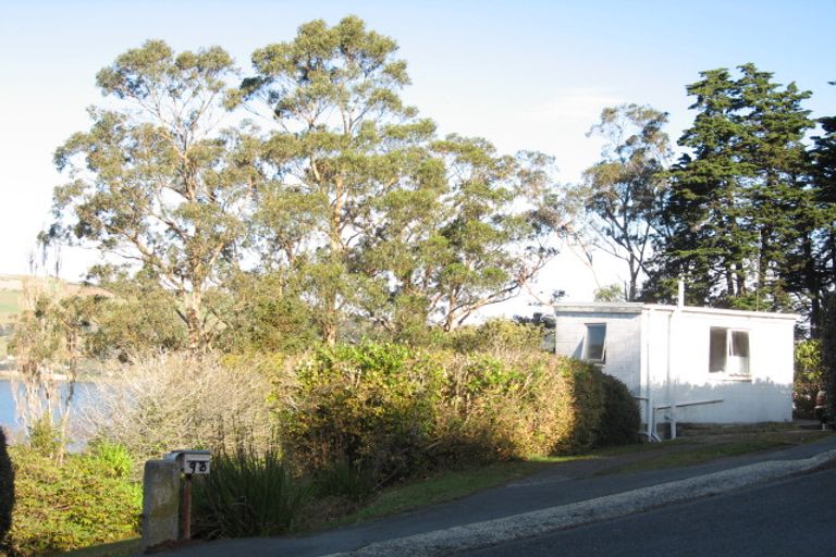 Photo of property in 98 Manapouri Street, Maia, Dunedin, 9022